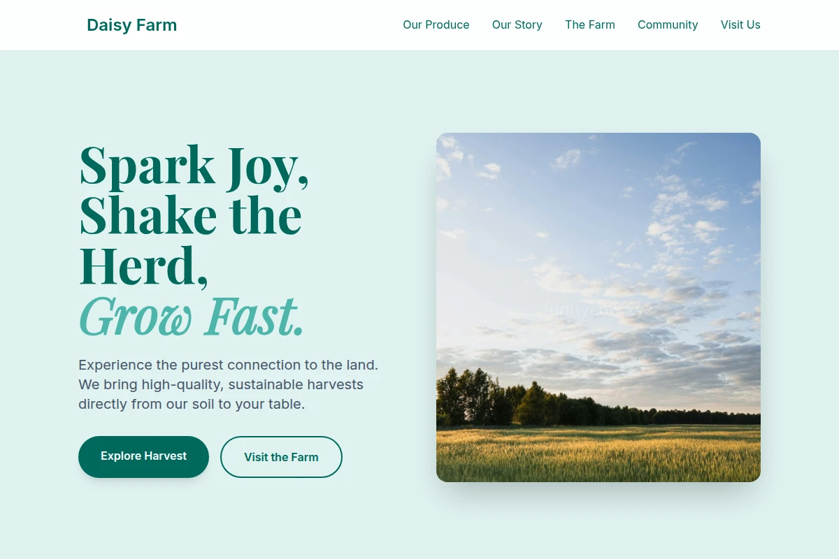 Daisy Farm